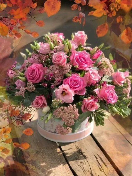 file_95827256