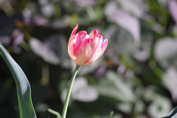 23.04.2024