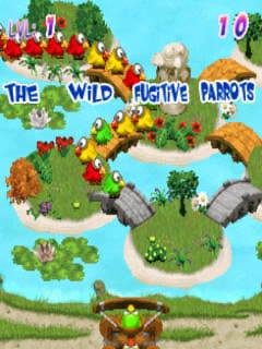 TheWildFugitiveParrotsMultiTsType