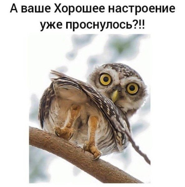 file_94950945