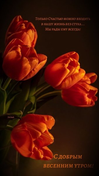 file_93091797