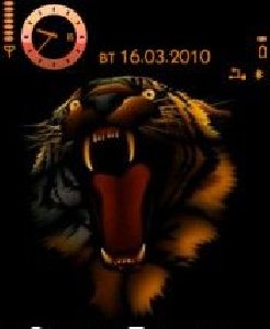 black tiger
