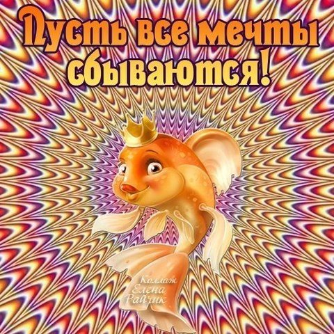 image (69)