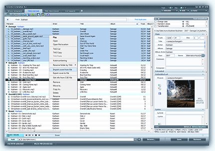 tagscan5.1.663setup