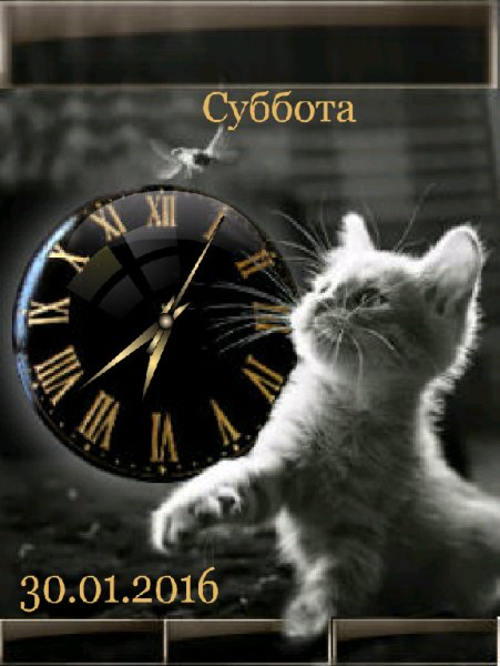 Любопытный
