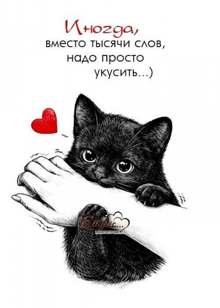 FB IMG 1770063655037