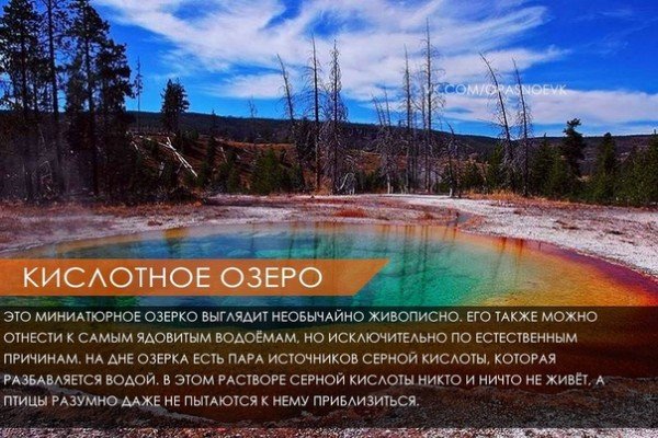 file_78286757