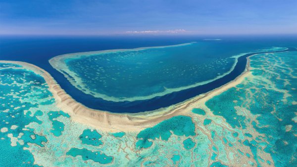 Great Barrier Reef Australia