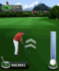Еverybody's golf 352x416