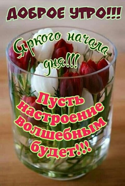 6N9kZHabnJw-1
