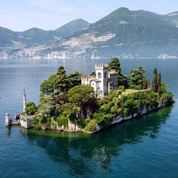c229803