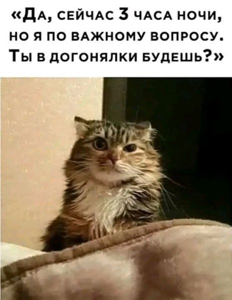 FB IMG 1772841186941