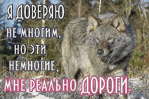 YA doveryayu ne mnogim