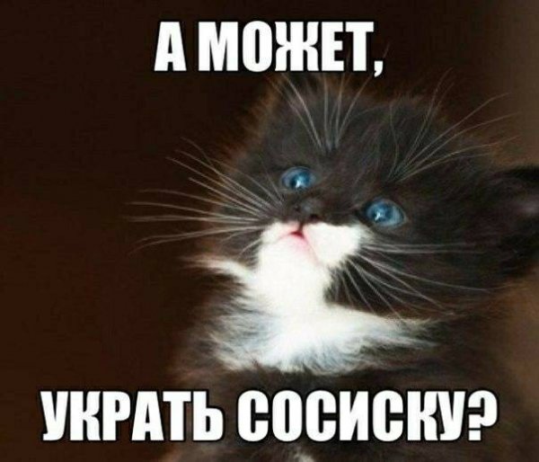 file_88668782