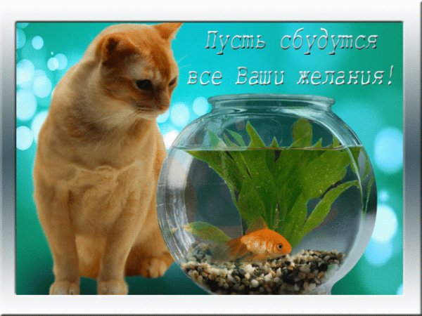 С Днём Рождения