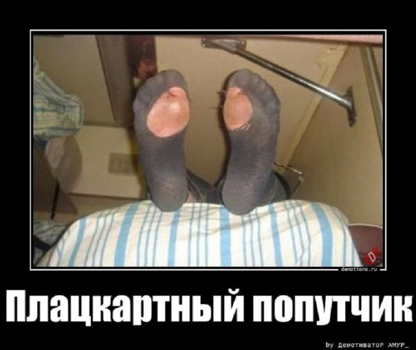 Плацкартный попутчик
