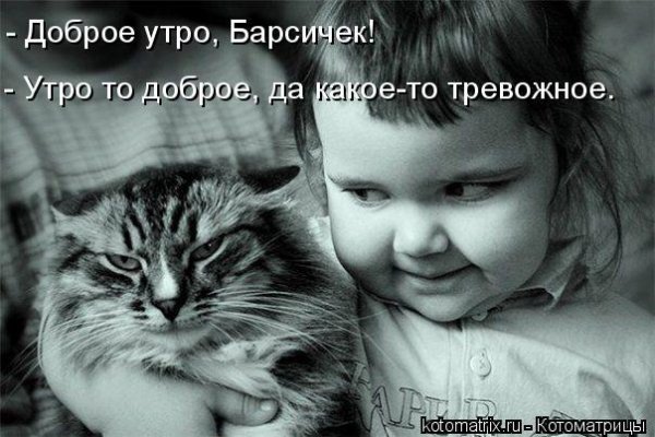 Доброе утро