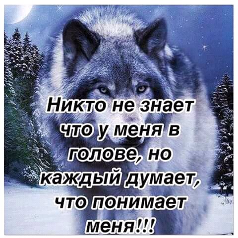 FB IMG 15216296441518760
