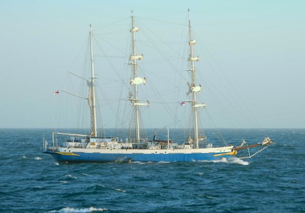 IMG 20220826 viter59 5