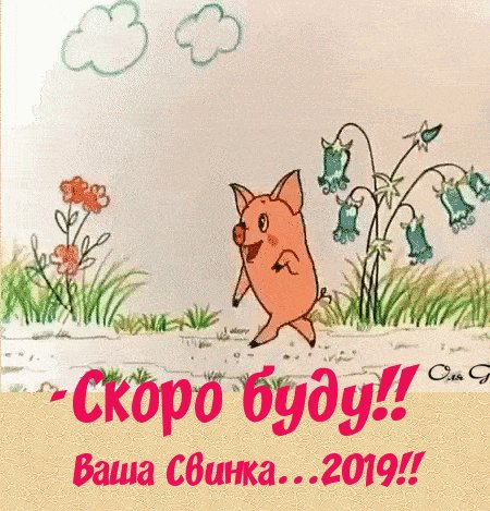 IMG 20181125 125047
