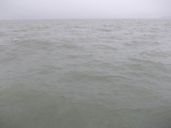 DSCN0908