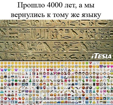 image (4)