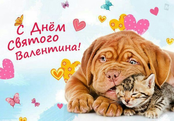 День Валентина