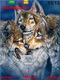 volk