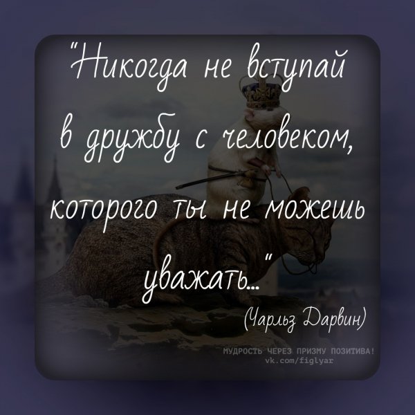 Никогда