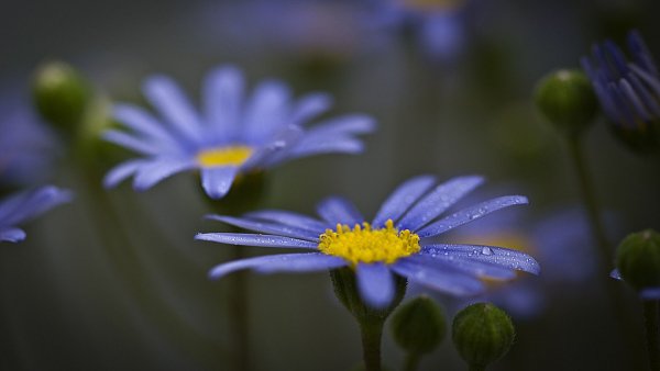 file_82851677