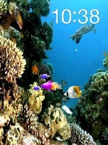 Подводный мир