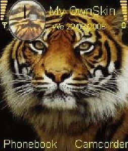 theme 12523