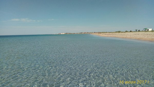 file_82322502