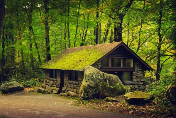 file_97288339