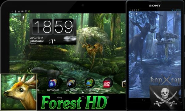 Forest-HD-And-New-pack