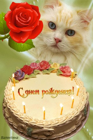 file_70392735