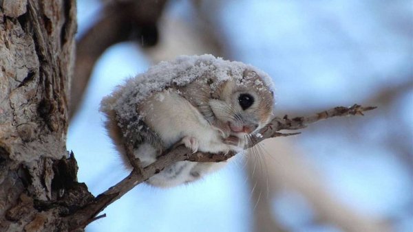 file_83349394