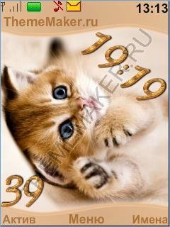 Kitten