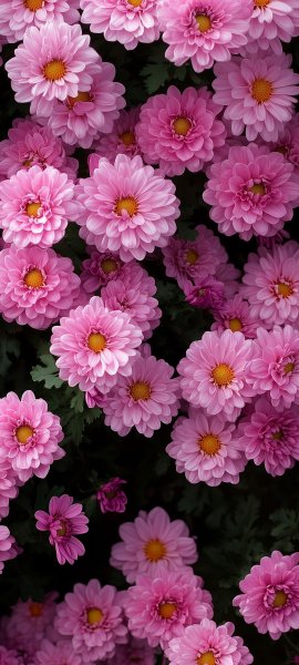 file_99283730