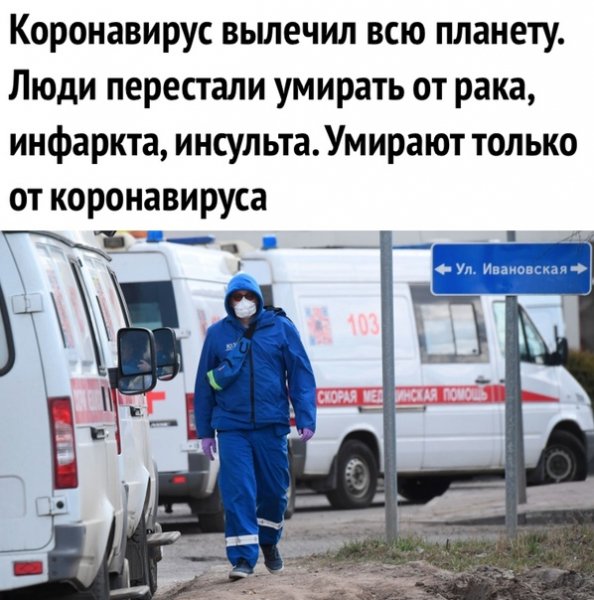 file_81300349