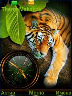 Tigr