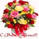 file_81228119