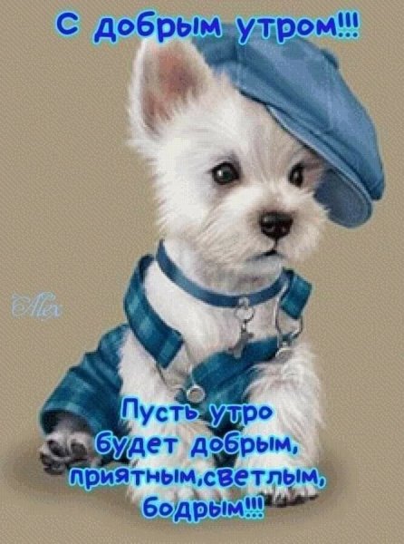 IMG 20201216 220349