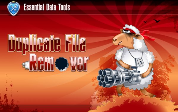 Duplicate File Remover v.3.6.24 Build