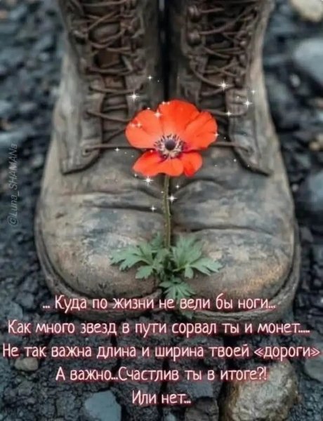 Img 1 1780438061598