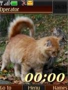 autumn-cats 12 pict swf. by Flyffy