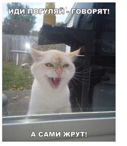 FB IMG 1774498669636