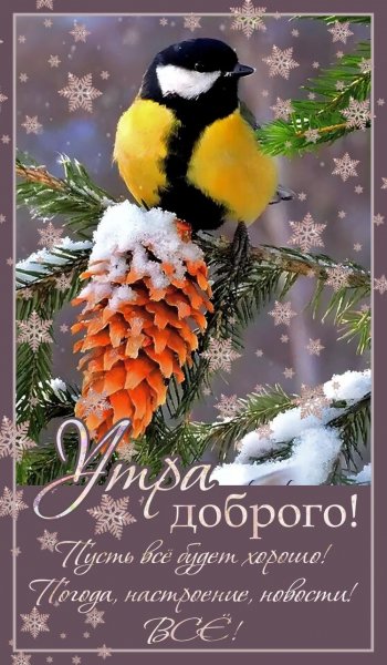 file_92587772