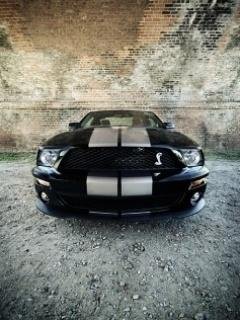 Ford shelby gt 500 car mustang