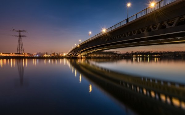 file_88391969